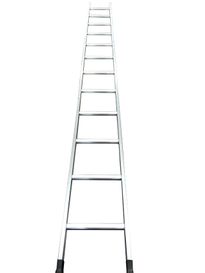 BS STARTER STARTEAL STARCE SCAFFOODED шат