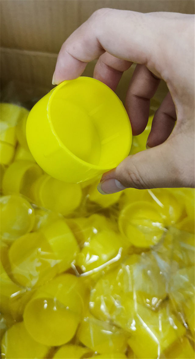 END CAP CACK SECEM 01