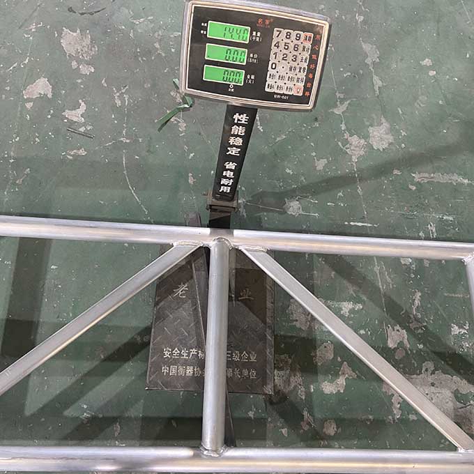 транзиялгл