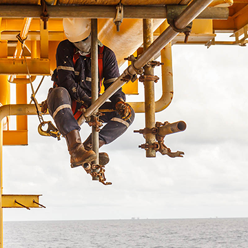 Хоолой ба холбогчийн хуйвалдааны систем