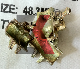 Италийн төрөл