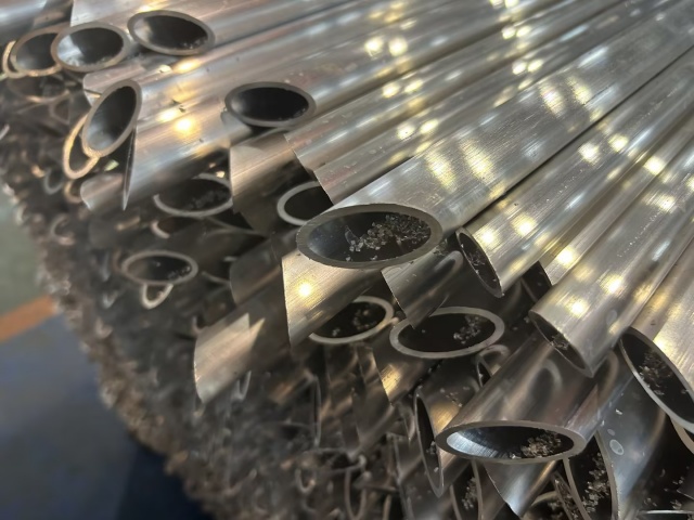 Хөнгөн цагаан дам нуруу 