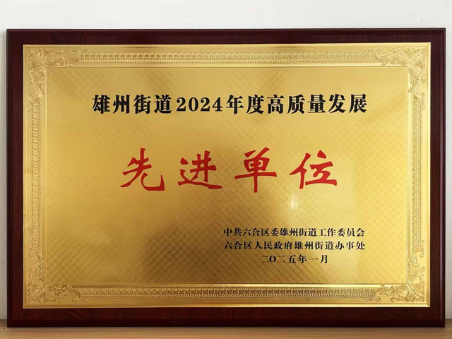 2024 度高质量发展先进单位